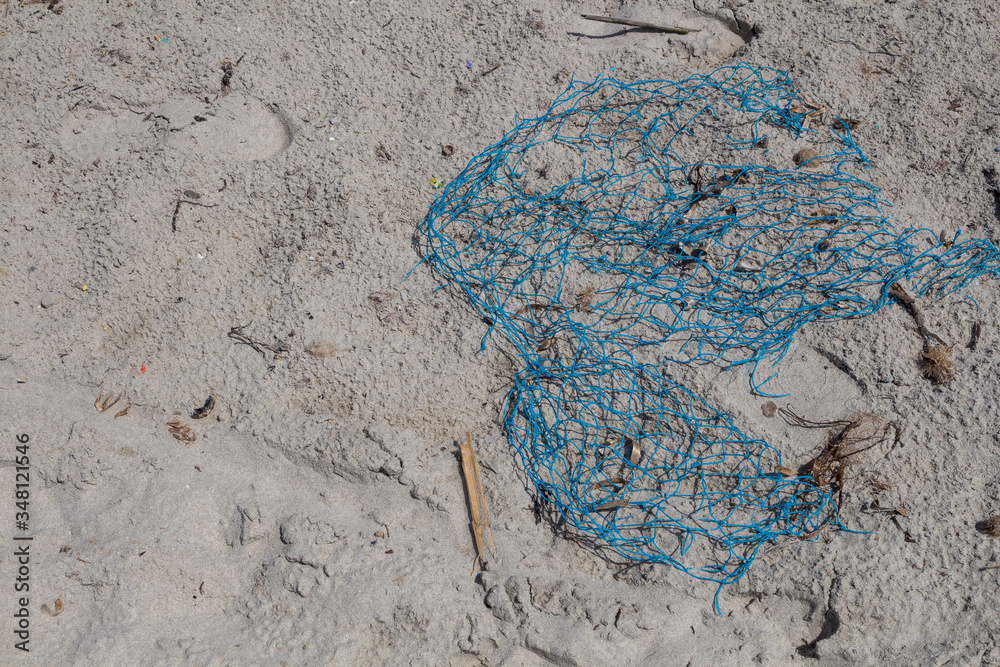 Ecology: beach discoveries - blue net