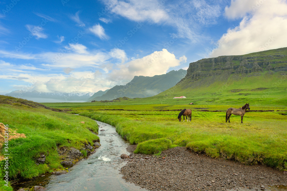 The Icelandic country farm has two horses standing in a green field, a stream and a beautiful mountain background. The atmosphere is refreshing and peaceful.