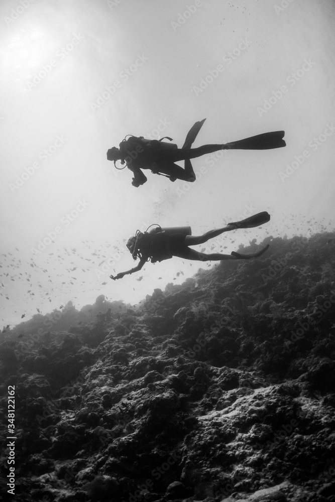 Fototapeta premium Black and white silhouette of divers swimming in clear blue water around a coral reef