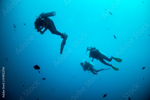 Silhouette of divers swimming in clear blue water around a coral reef © Aaron