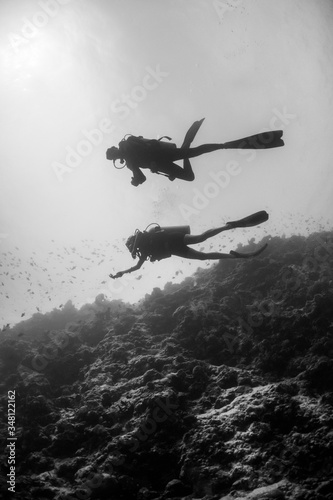 Fototapeta Naklejka Na Ścianę i Meble -  Black and white silhouette of divers swimming in clear blue water around a coral reef