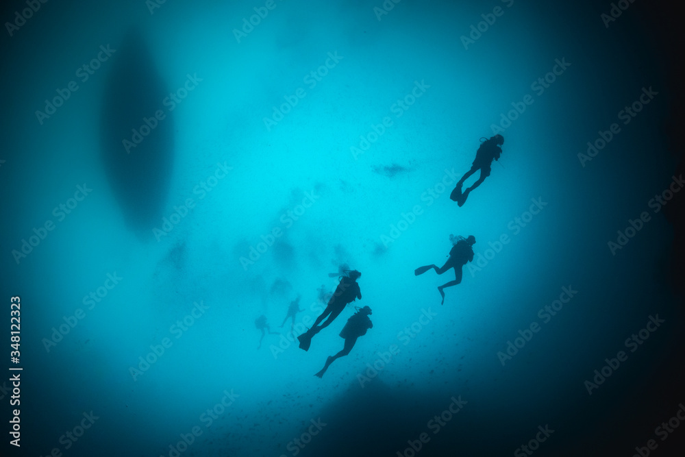 Silhouette of divers swimming in clear blue water around a coral reef Silhouette of divers swimming in clear blue water around a coral reef