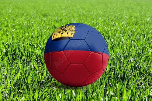 Liechtenstein Flag on Soccer Ball
