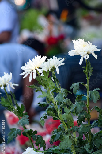 Ghazipur flower market situation in the morning, the flower itself came from China, Vietnam, Thailand and India photo