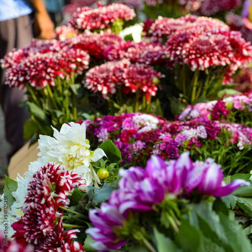 Ghazipur flower market situation in the morning, the flower itself came from China, Vietnam, Thailand and India photo