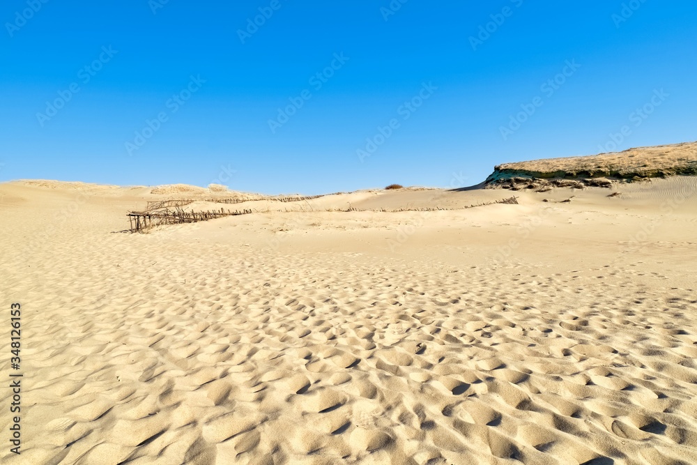 Beautiful calm view of nordic sand dunes at Curonian spit, Nida, Klaipeda, Lithuania. Buried wood, desert and sand, sunny blue sky. Beautiful calm view of nordic sand dunes at Curonian spit, Nida, Klaipeda, Lithuania. Buried wood, desert and sand, sunny blue sky.