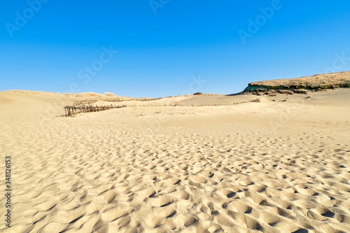 Beautiful calm view of nordic sand dunes at Curonian spit, Nida, Klaipeda, Lithuania. Buried wood, desert and sand, sunny blue sky.