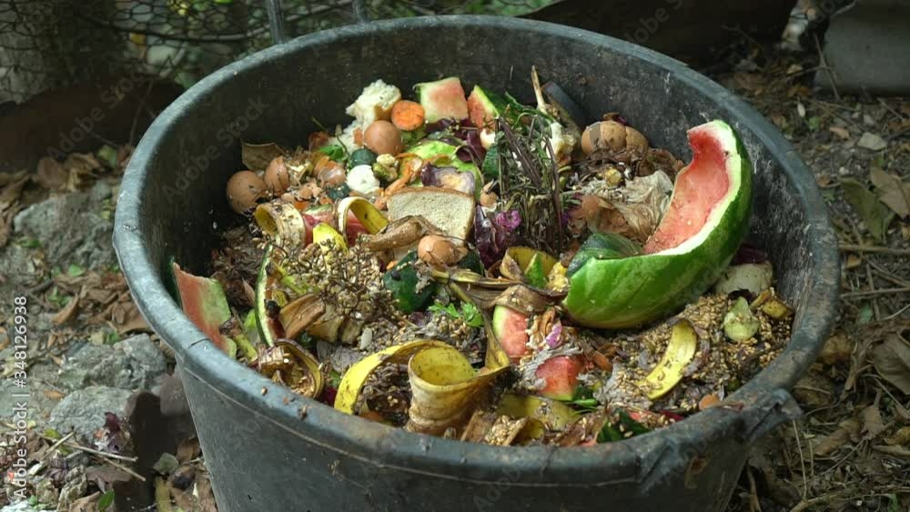 People throw away food waste, loss, uneaten leftovers, expired food
