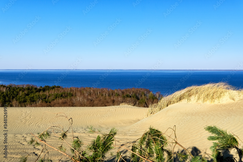 Landscape of nordic dunes, hills, pine branches and Baltic sea at Curonian spit, Nida, Klaipeda, Lithuania. White sand patterns, waves. geometry.