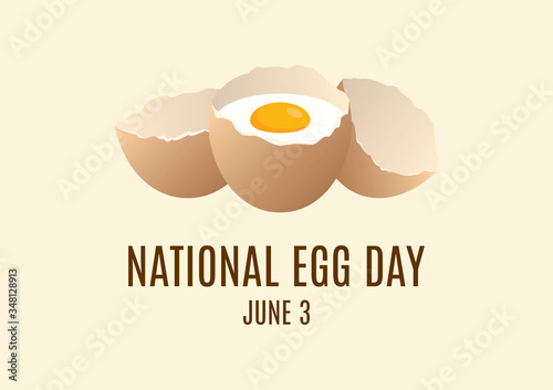 National Egg Day vector. Raw egg in shell vector. Egg icon vector. Broken eggs cracked open eggshell vector. Egg Day Poster, June 3. Important day