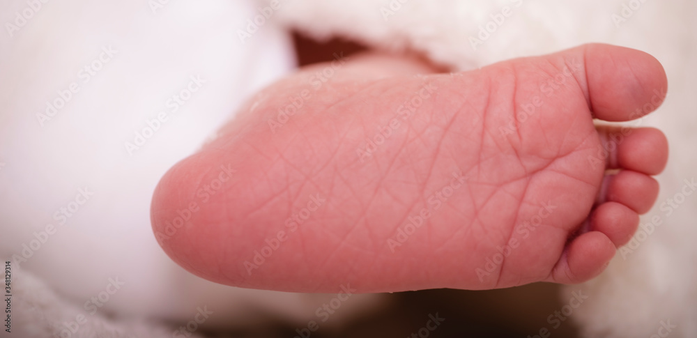 Newborn baby on a white blanket, tiny baby feet closeup. Bare feet of a cute newborn baby in warm white blanket. Childhood. Small bare feet of a little baby girl or boy. Sleeping child. Newborn baby on a white blanket, tiny baby feet closeup. Bare feet of a cute newborn baby in warm white blanket. Childhood. Small bare feet of a little baby girl or boy. Sleeping child.