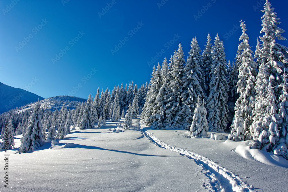 Landscape of the winter Carpathians while climbing Hoverla.