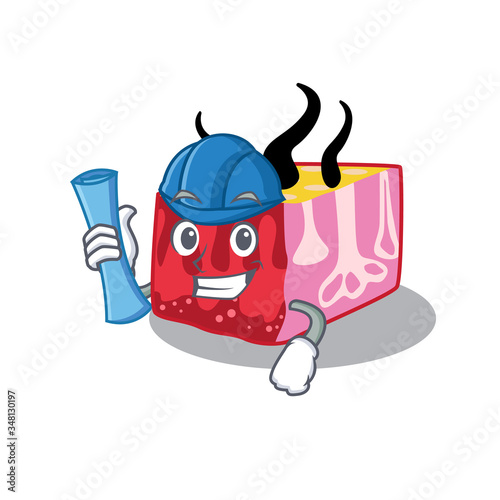 Cartoon character of skin brainy Architect with blue prints and blue helmet