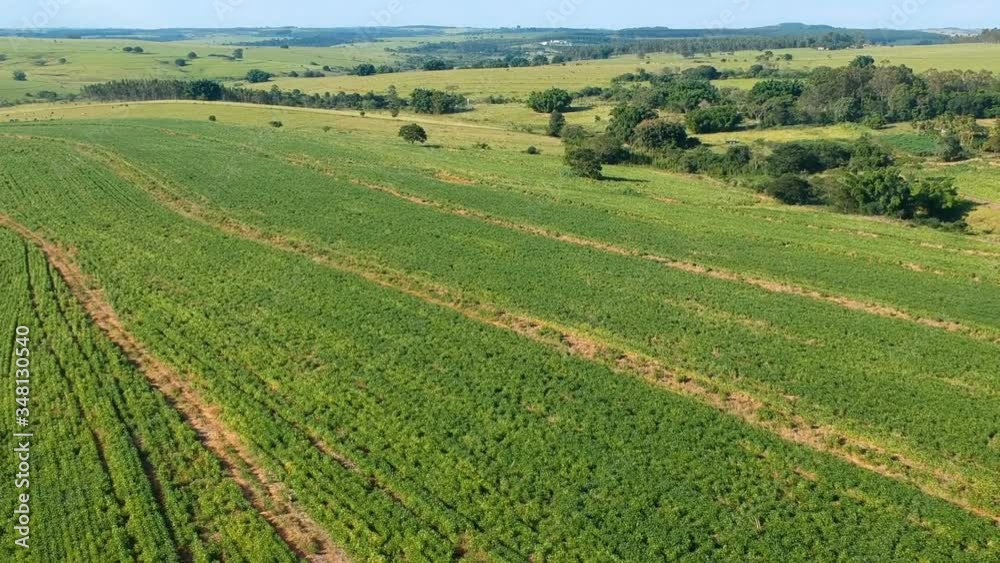 Aerial view of green soybean fiel in Brazil Aerial view of green soybean fiel in Brazil