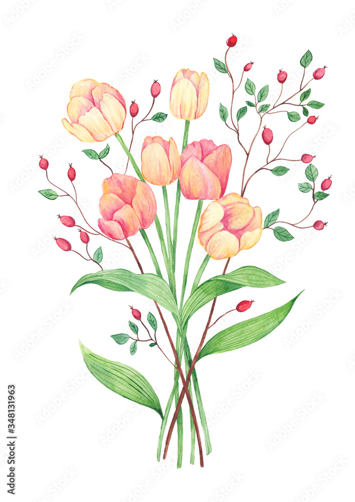 Tulip and berry bouquet painted in watercolors Tulip and berry bouquet painted in watercolors