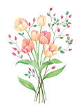 Tulip and berry bouquet painted in watercolors