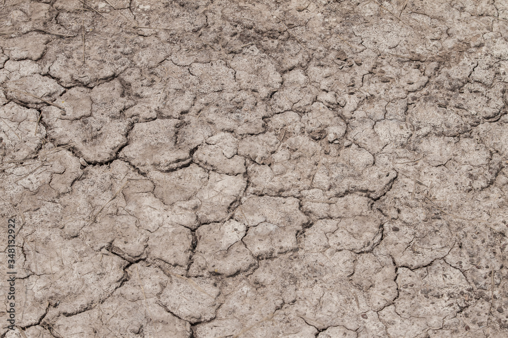Dry dirt as a background. Dry dirt as a background.