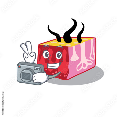 Skin mascot design as a professional photographer working with camera