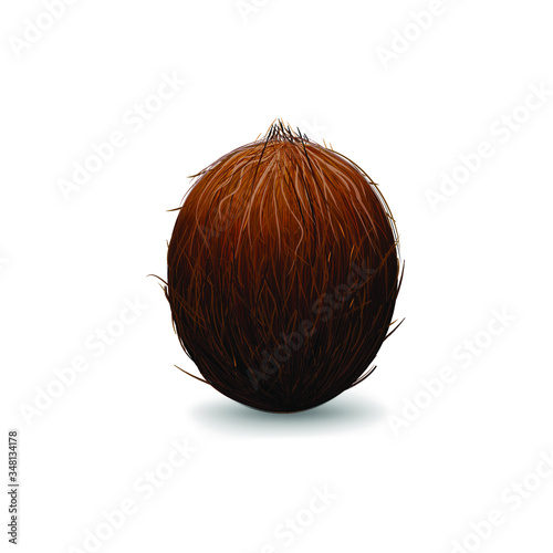 Realistic vector coconut isolated on white background. Single coconut with shadows for summer, exotic, tropical design, advertising template. Healthy vitamin organic food. Vector illustration. EPS10