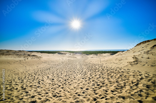 Beautiful calm view of nordic sand dunes and protective fences at Curonian spit, Nida, Klaipeda, Lithuania. Buried wood, desert and sand, blue sky
