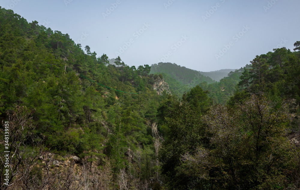 Forest-covered green hills on a bright Sunny summer day in the mountains of Central Cyprus.