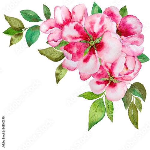 Watercolor pink blossom flowers set close up isolated on white background.