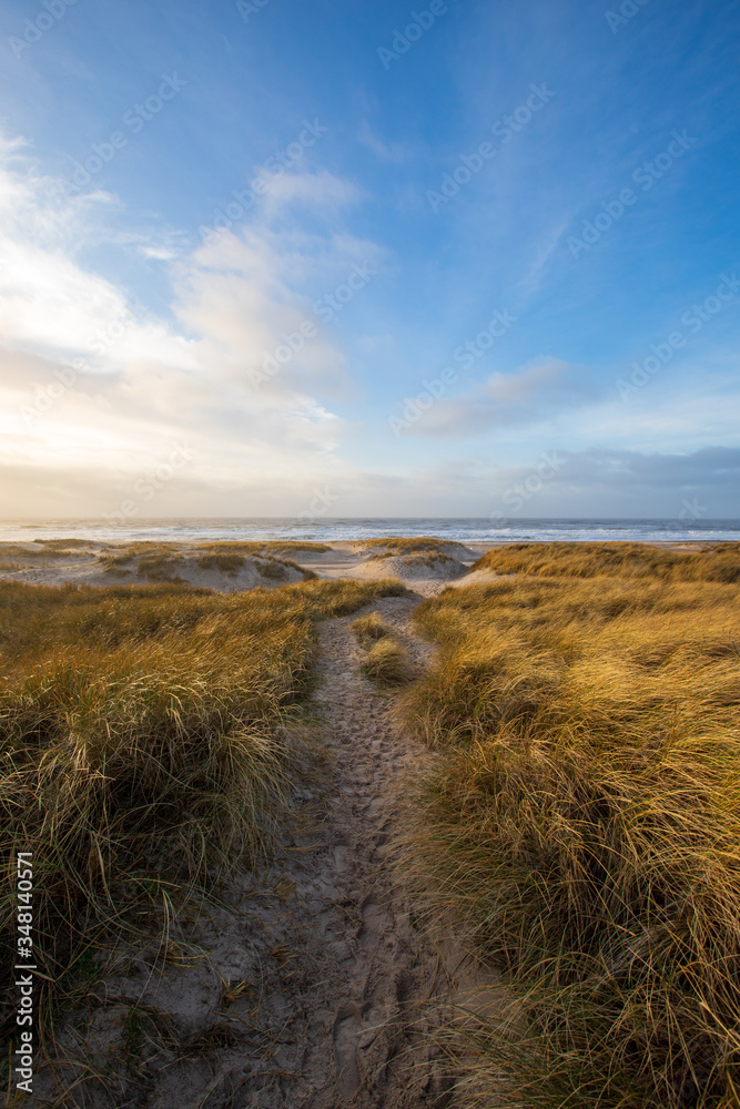 beach with dunes at sunset beach with dunes at sunset