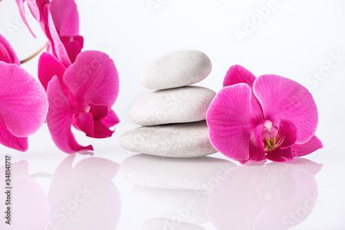 Wellness  relax  massage and wellbeing concept. Spa stones and orchid flower over white background