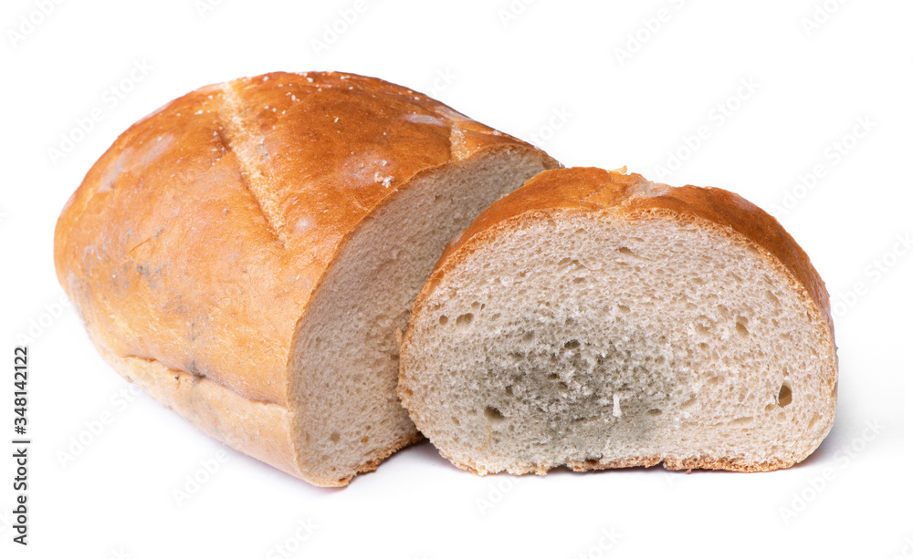 Piece of moldy bread isolated Piece of moldy bread isolated