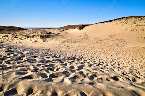 Fototapeta Naklejka Na Ścianę i Meble -  View of beautiful nordic dunes of Curonian spit, Nida, Lithuania, white sand patterns, footprints, blue sky. Desert and sunshine and some flora.