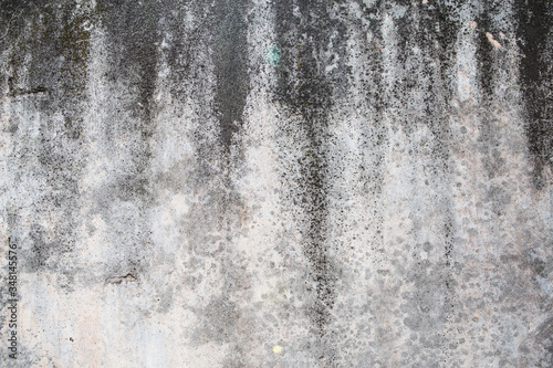 Grunge outdoor polished concrete texture, Cement and texture for pattern and background