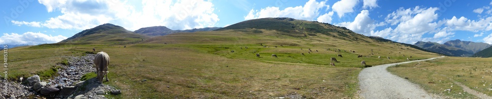 Panoramic view of the landscape, mountains and animals in Pla de Beret. Val d'Aran, Catalan Pyrenees. Catalonia Panoramic view of the landscape, mountains and animals in Pla de Beret. Val d'Aran, Catalan Pyrenees. Catalonia