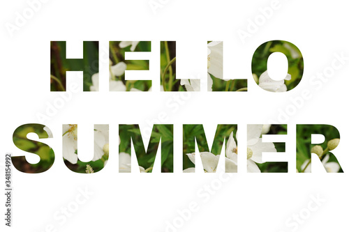 words hello summer over green leaves and white flowers