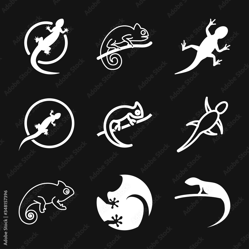 Vector Lizard icon on white background, Vector gecko Vector Lizard icon on white background, Vector gecko