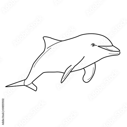 Dolphin outline vector illustration, coloring page for design and creativity