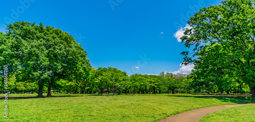 東京 渋谷 代々木公園 ~ Yoyogi Park, one of the largest parks in Tokyo, Japan ~