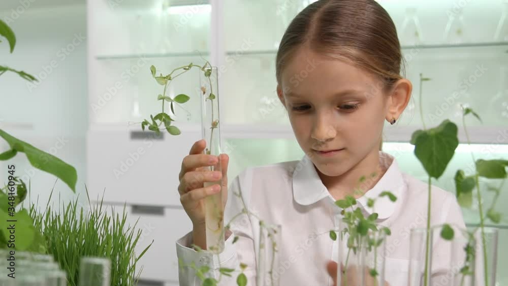 Kid in Chemistry Lab, School Child in Science Growing Seedling Plants, Student Girl Studying Biology Class Kid in Chemistry Lab, School Child in Science Growing Seedling Plants, Student Girl Studying Biology Class