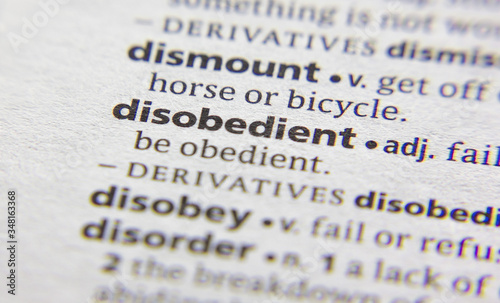 Disobedient word or phrase in a dictionary.
