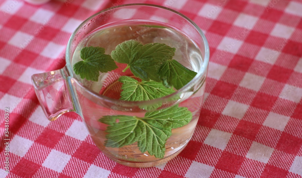 fresh currant leaves brewed in a glass mug standing on a table covered with a red and white checkered tablecloth