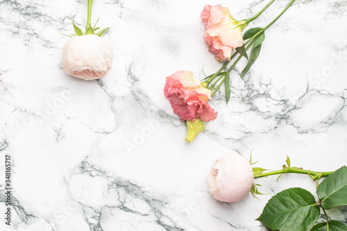 White roses on white and black marble background with copyspace