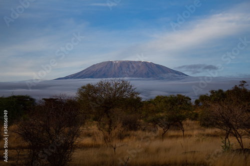Kilimandscharo, Kilimanjaro, Kenia, Afrika, Ambroseli, Tansania  photo