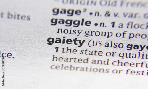Obraz na plátně Gaiety word or phrase in a dictionary.