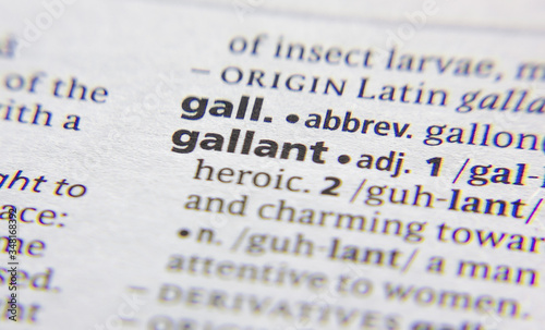 Gallant word or phrase in a dictionary.