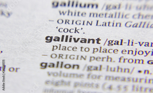 Gallivant word or phrase in a dictionary.