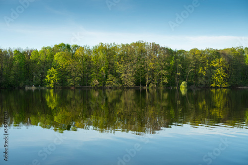 Reflejos del bosque en el lago © David