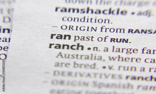 Ran word or phrase in a dictionary.