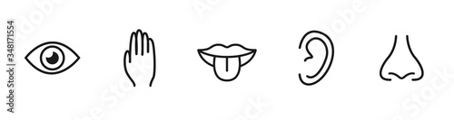 Five senses vector icons set. vision, hearing, touch, taste, smell