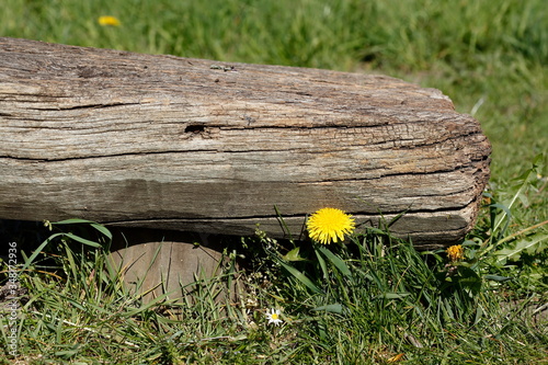 Old wooden bench in a meadow, Germany, Europe