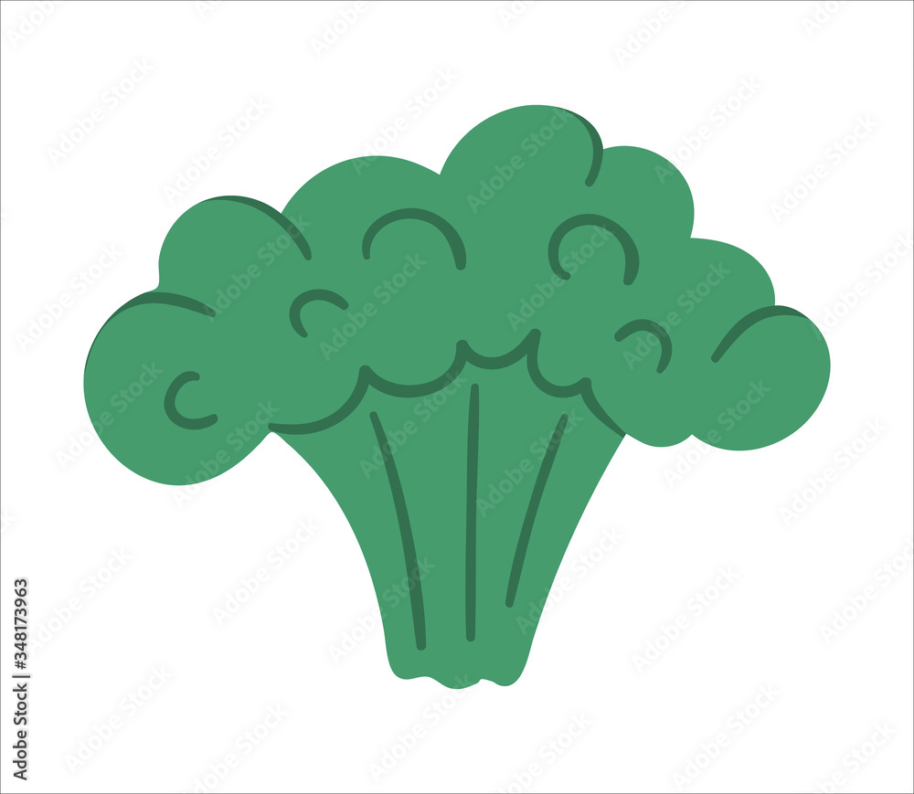 Vector broccoli on white background. Healthy food icon. Vegetable illustration. Flat hand drawn organic nutrition clipart. . Vector broccoli on white background. Healthy food icon. Vegetable illustration. Flat hand drawn organic nutrition clipart. .