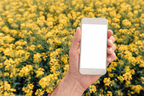 Konstfotografi Agronomist with smartphone mock up screen in oilseed rape field